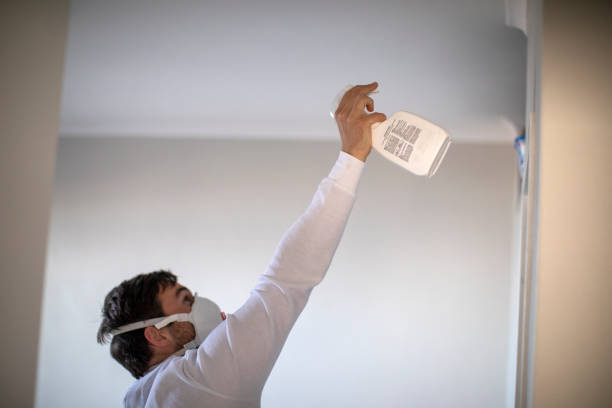 Best Same-Day Mold Removal  in Harrison, NY