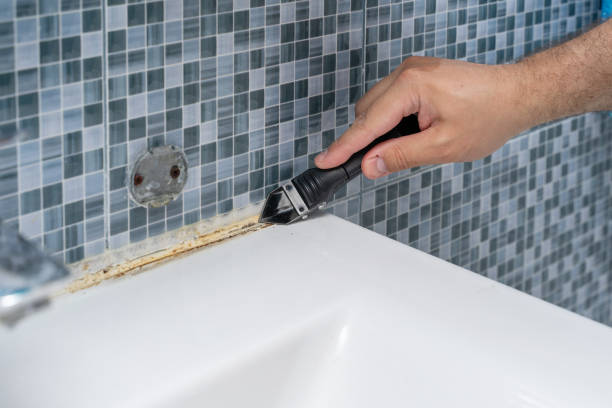 Best Mold Removal Near Me  in Harrison, NY