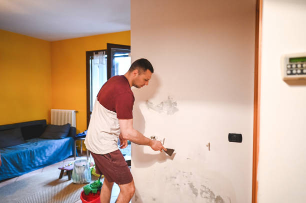 Attic Mold Removal in Harrison, NY